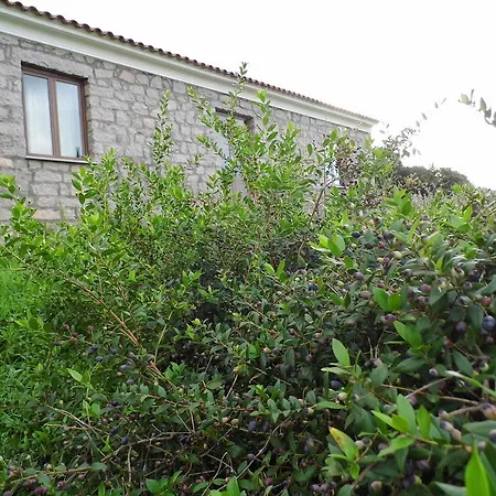 Hotel Hotel Santa Maria Turismo Rurale Aglientu